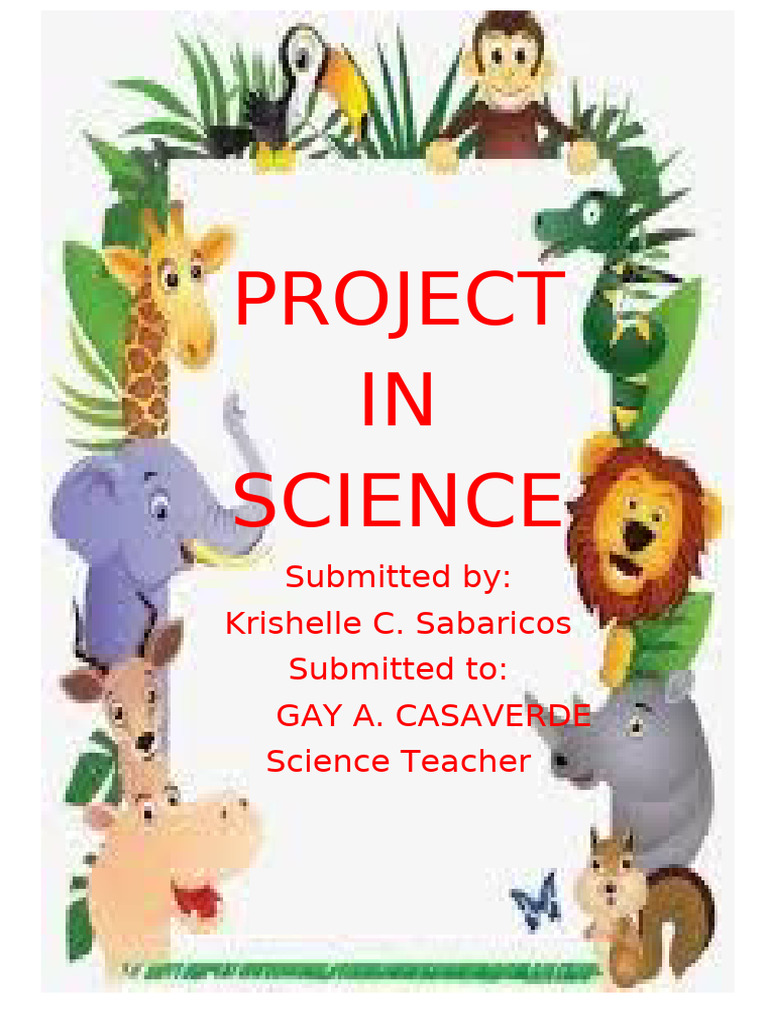 Project Zeeshan and Krishelle | PDF