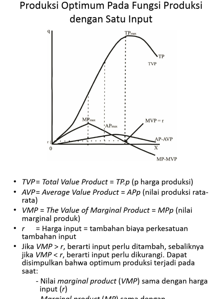 Produksi Optimum Satu Input Ekonomi | PDF