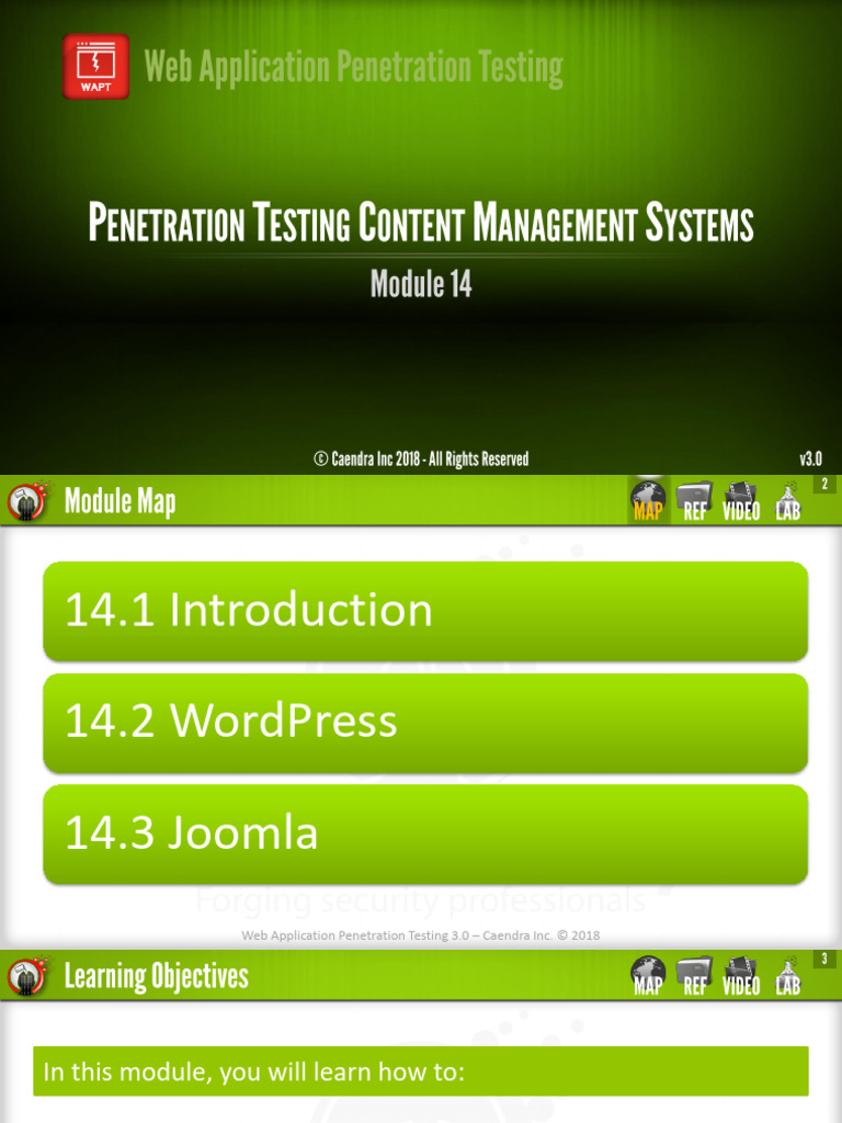 14 Penetration Testing CMS | PDF | Word Press | Penetration Test