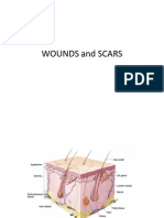 Wounds and Scars