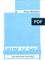 Vreme de Saga, de G.Niculescu, F.Smarandache