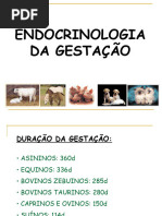 Fisiologia da Lactação e Lactogênese | PDF | Seio | Órgão (anatomia)