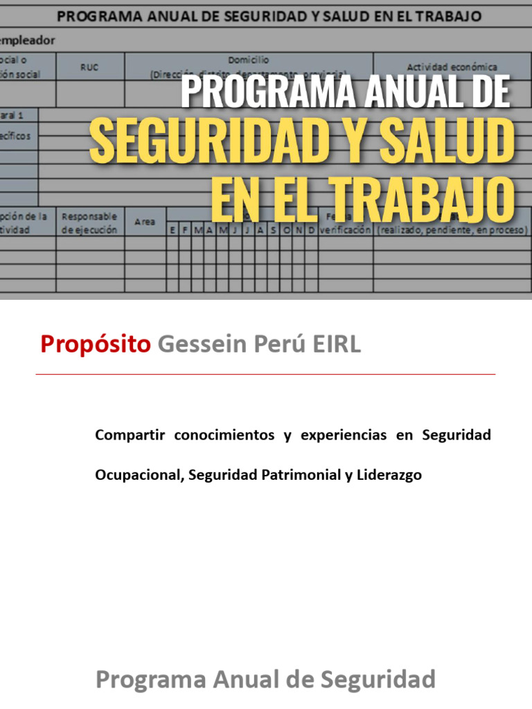 Programa Anual de Seguridad y Salud Laboral | PDF | Programa de ...