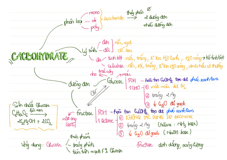Landscape (2) Y6V PDF