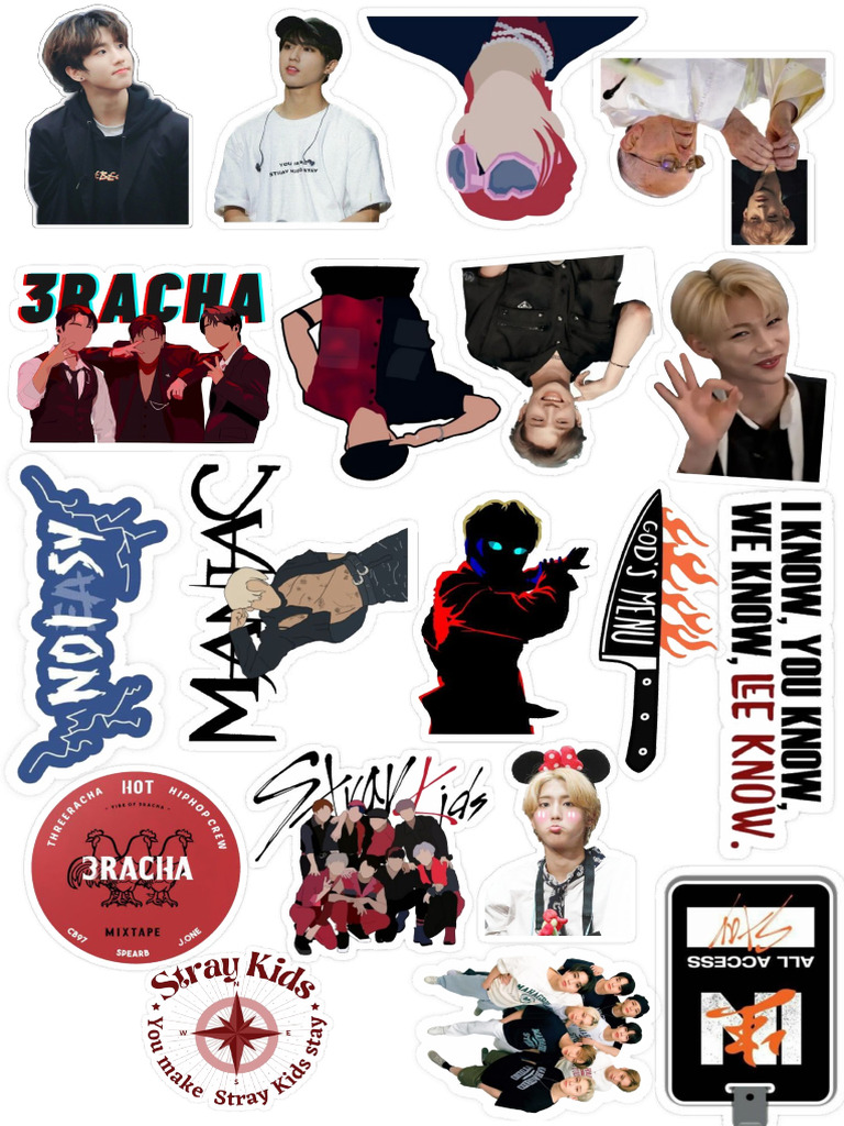 Stray Kids | PDF
