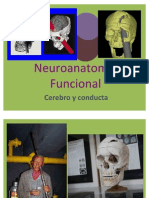 Cerebro y Conducta Do