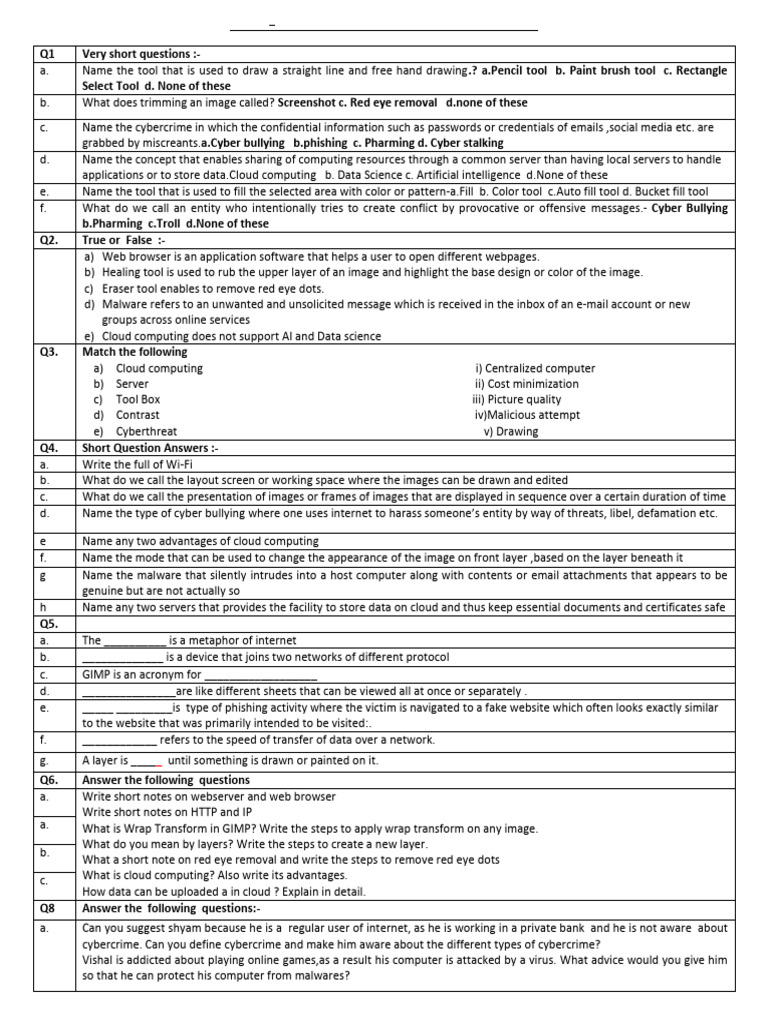 Class 8 Computer Revision Worksheet | PDF | Internet | Malware