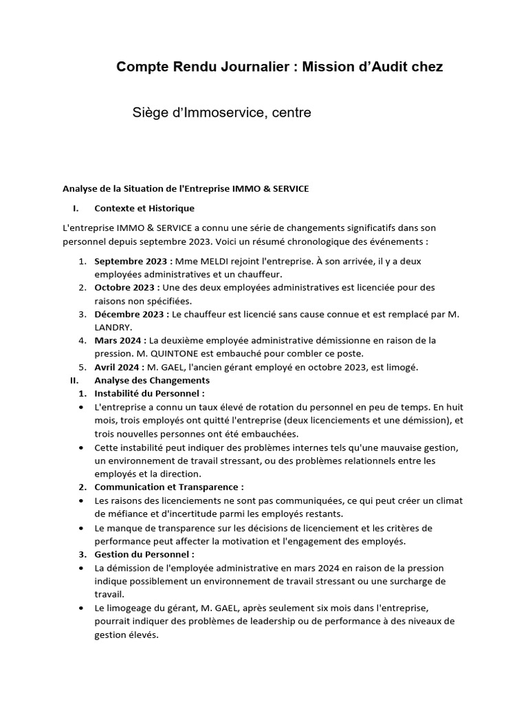 Compte Rendu Journalier d'Audit IMMO & SERVICE | PDF | Gestion des ...