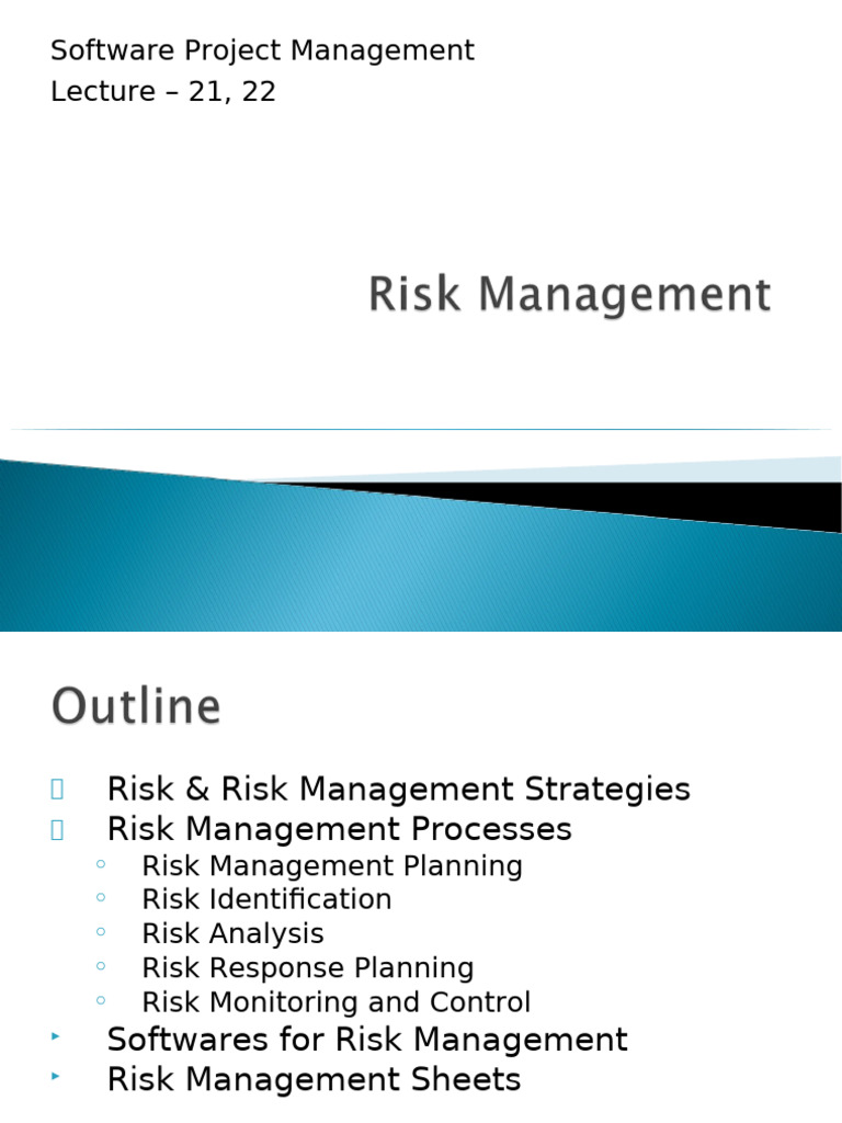 Software Risk Management Strategies | PDF | Risk | Risk Management