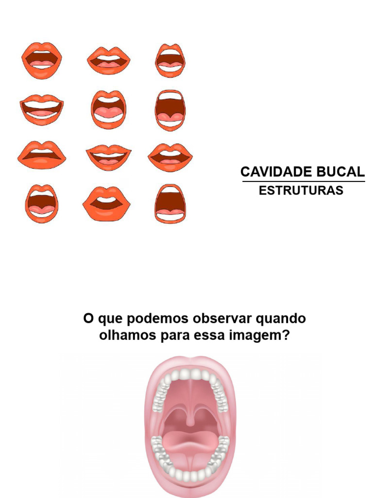 Cavidade Bucal - Aula 1 - Unidade 2 PDF | PDF | Boca | Dente humano