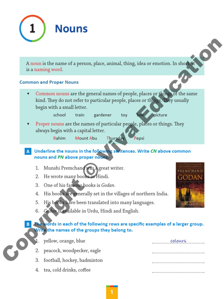 Understanding Nouns and Their Types | PDF | Noun | Linguistics