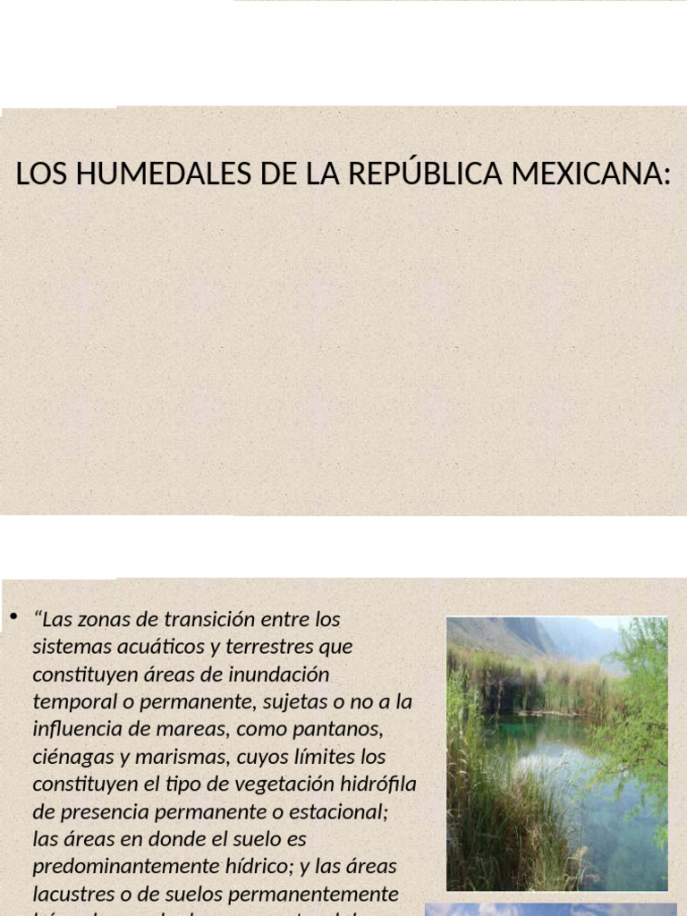 Humee | PDF | Humedal | Pantano