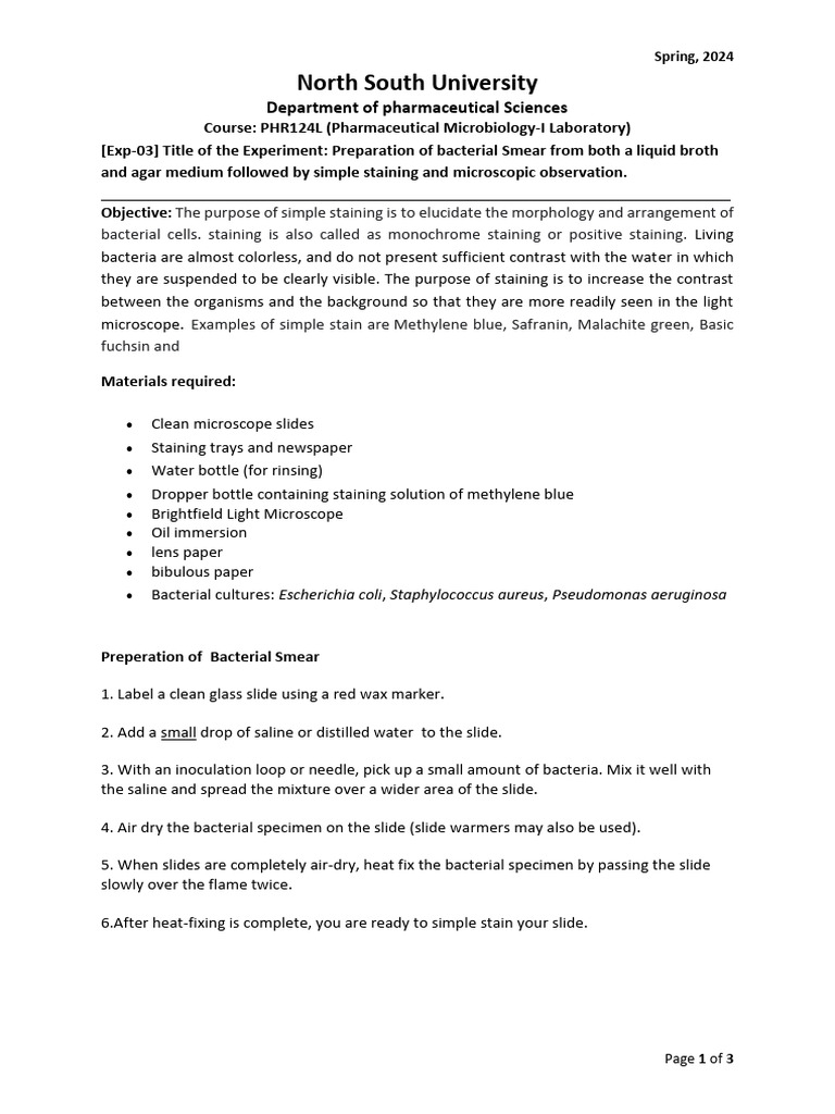 Sample Staining Ex 3 Pdf Staining Bacteria