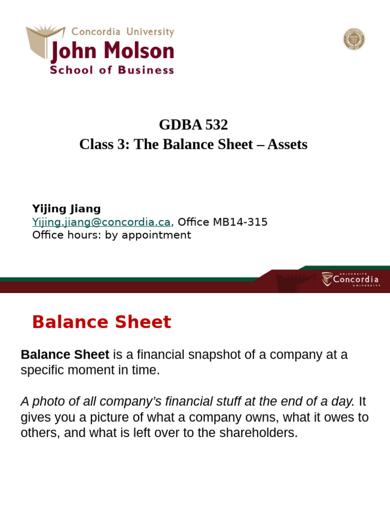 Chapter 4 Balance Sheet Asset | PDF | Balance Sheet | Equity (Finance)