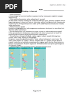 Download Ch 45 Guided Reading by mhariraj SN78351723 doc pdf
