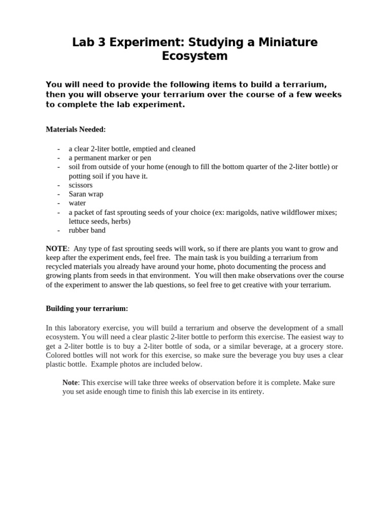Lab 3 Experiment Setup | PDF
