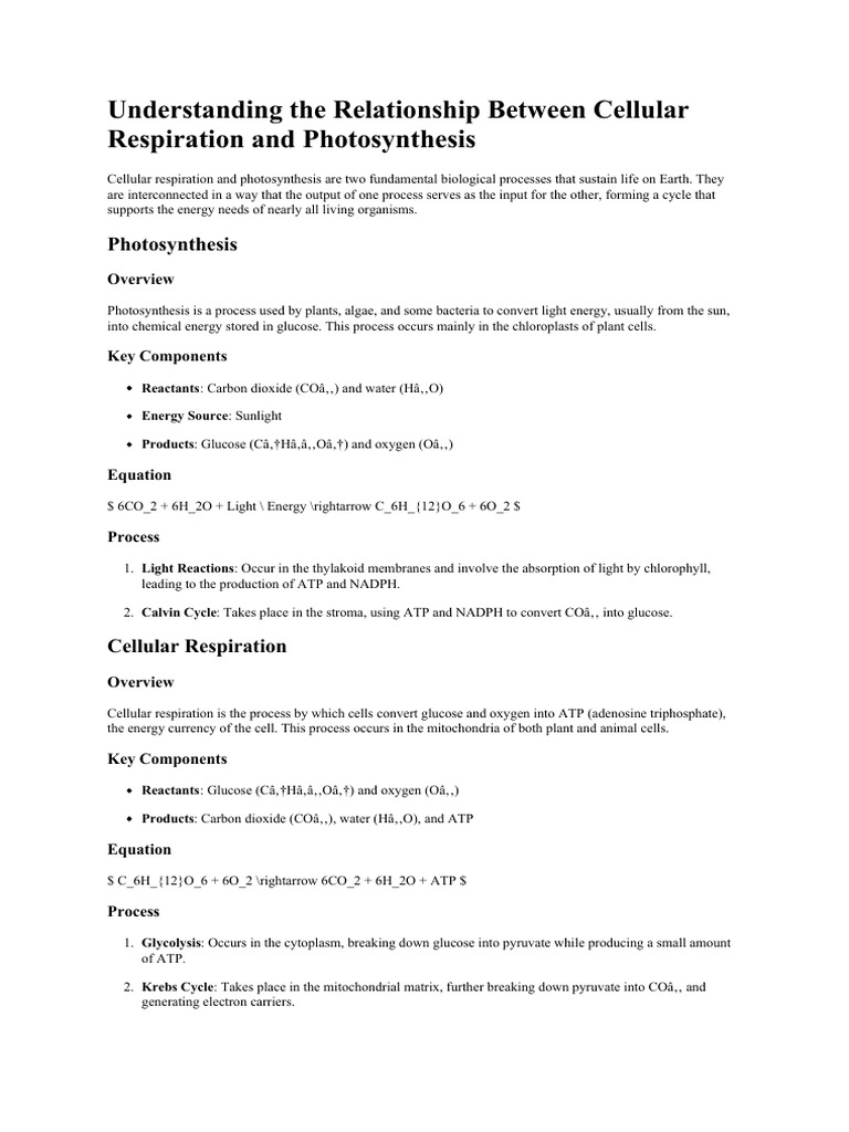 Understanding The Relationship Between Cellular Respiration and ...