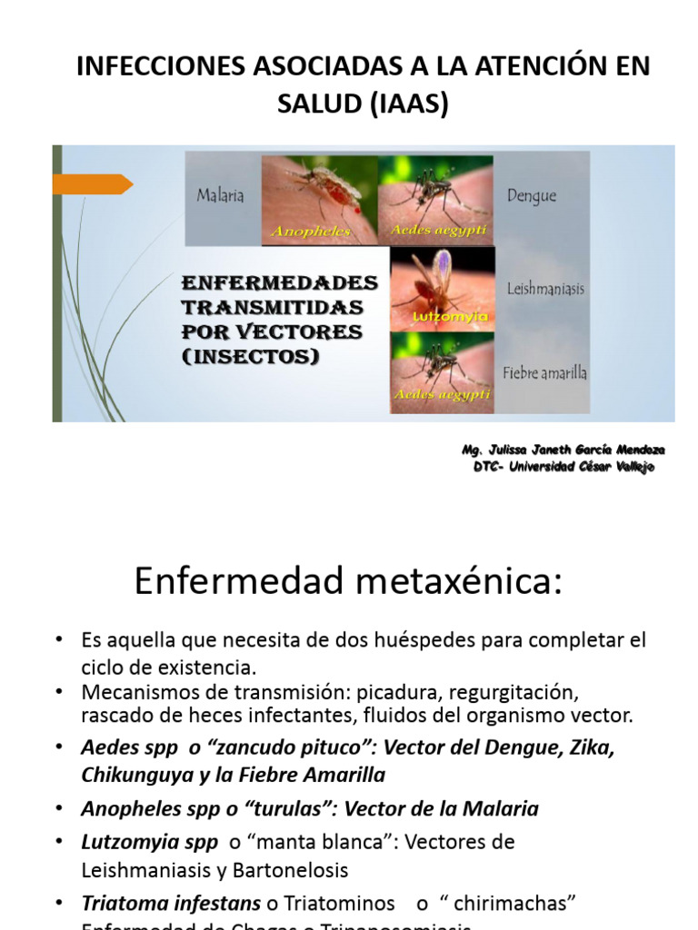 Sesión 14. - VECTORES DE ENFERMEDADES METAXÉNICAS | PDF | Peste