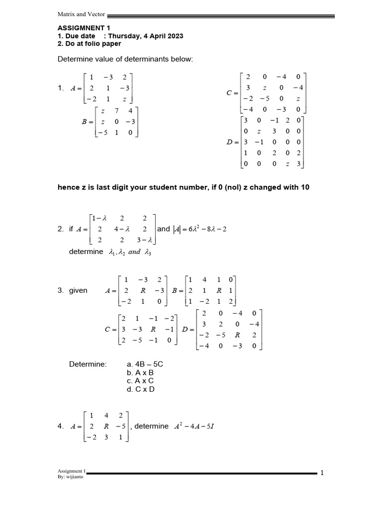 Assigment 1 20231 | PDF | Matrix (Mathematics) | Determinant