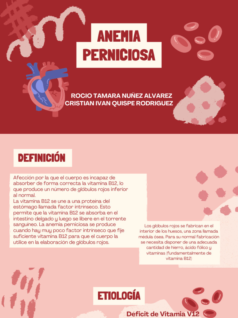 Anemia Perniciosa: Causas y Tratamiento | PDF | Vitamina B12 | Glóbulo rojo
