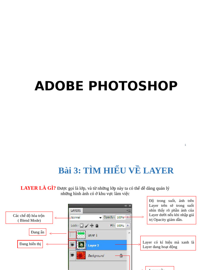 B2 - Tim Hieu Ve Layer | PDF