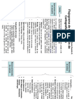 Flujograma Elaboración Cartografía Temática