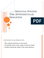 The Skeletal System--The Appendicular Skeleton
