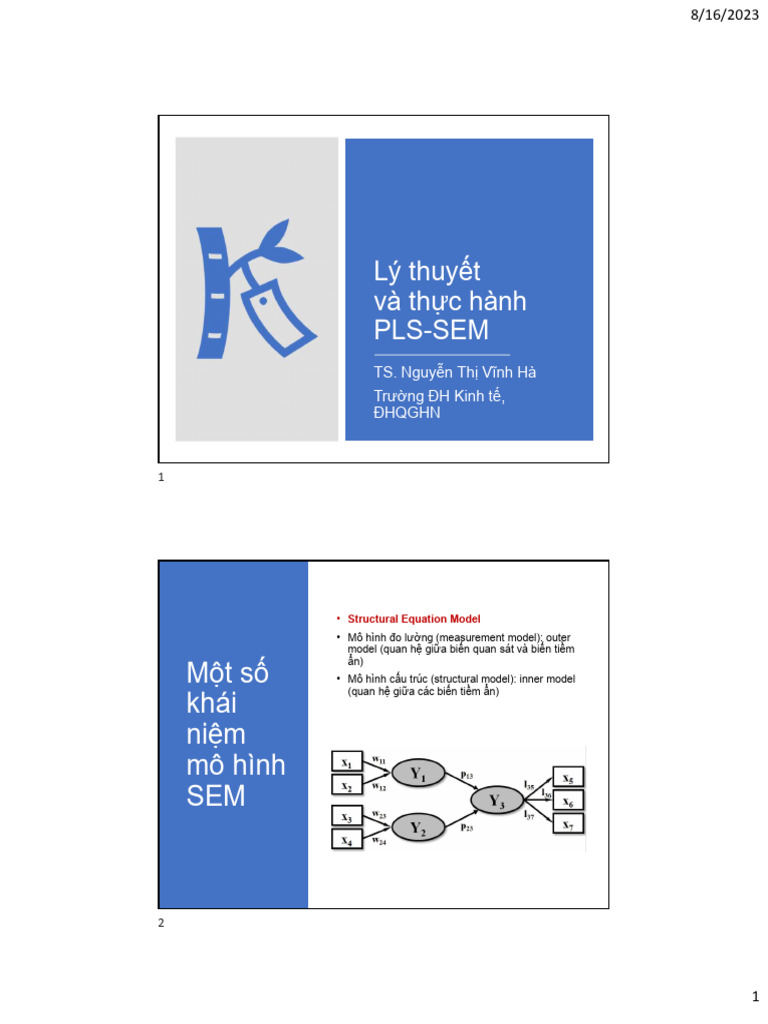 Pls Sem Instruction Pdf