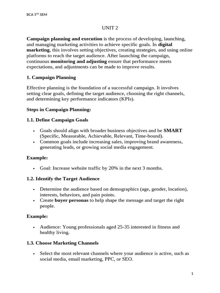 Digital Marketing Campaign Essentials | PDF | Popular Culture & Media ...