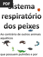 O Sistema Respiratório Dos Peixes