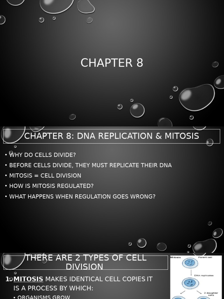 CH8 Lecture Presentation RD ADL | PDF | Cancer | Cell Growth