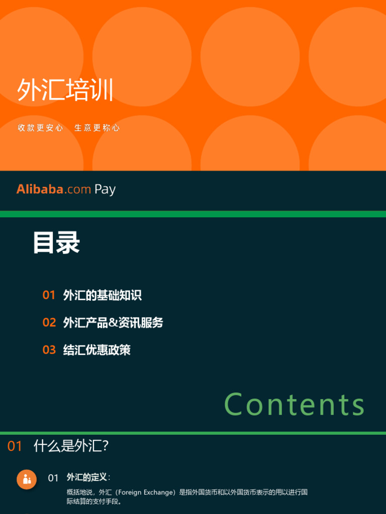 Pay外汇产品| PDF