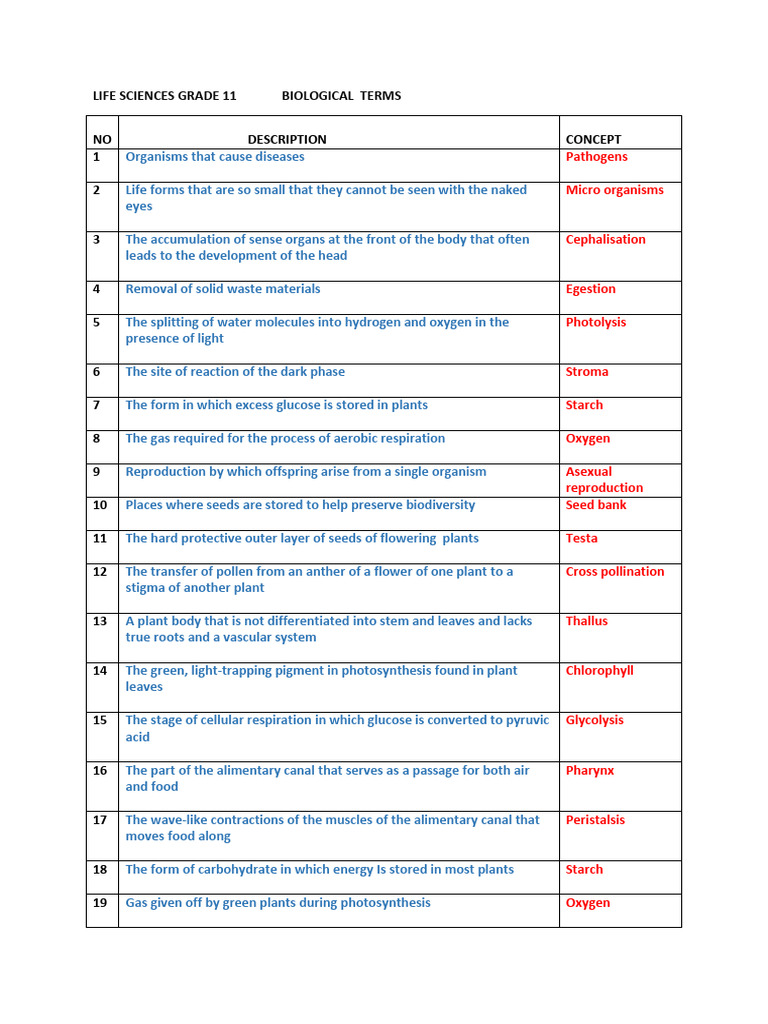Grade 11 Life Sciences: Key Biological Terms | PDF | Cellular ...