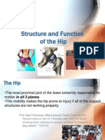 Structure and Function of The Hip