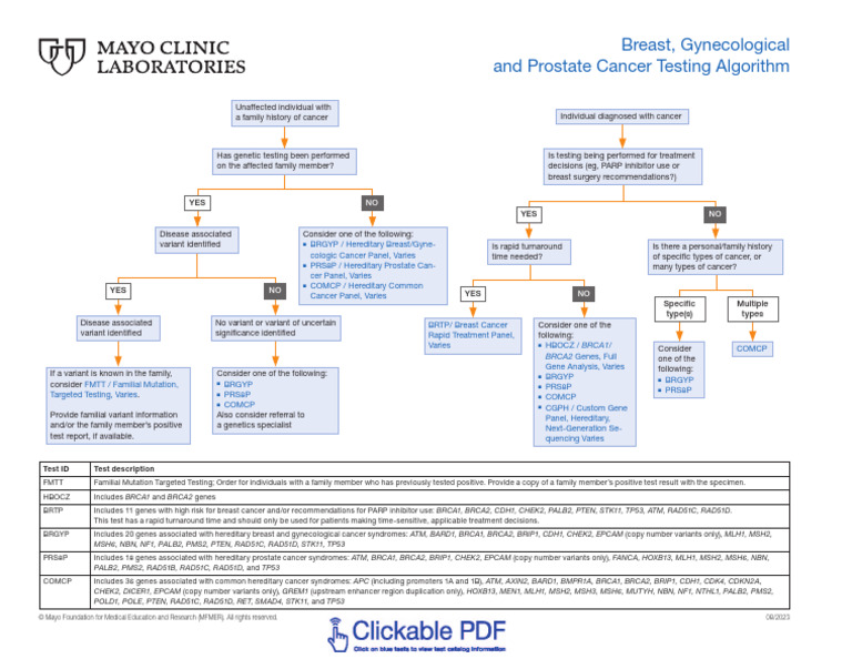 Breast Gynecological and Prostate Cancer Testing Algorithm | PDF ...