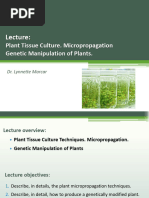 Explant Definition and Types in Tissue Culture | PDF | Cell Potency ...