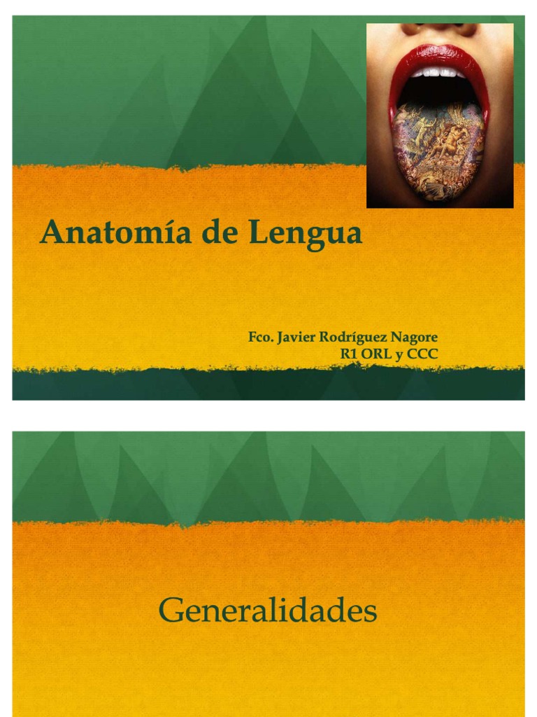 Anatomía y partes de la lengua humana | PDF | Lengua | Anatomía humana