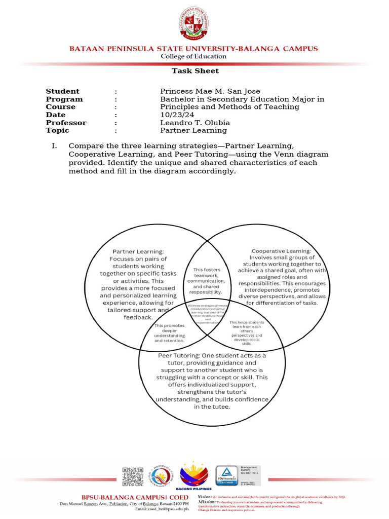Partner Learning | PDF