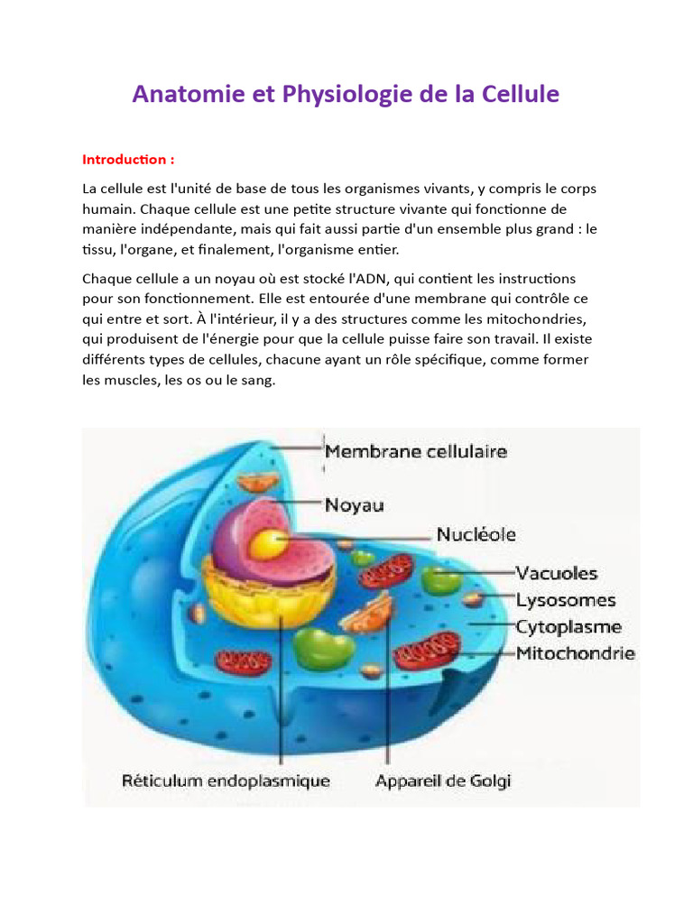 Anatomie et Physiologie Cellulaire | PDF | Cellule (Biologie) | Cytoplasme