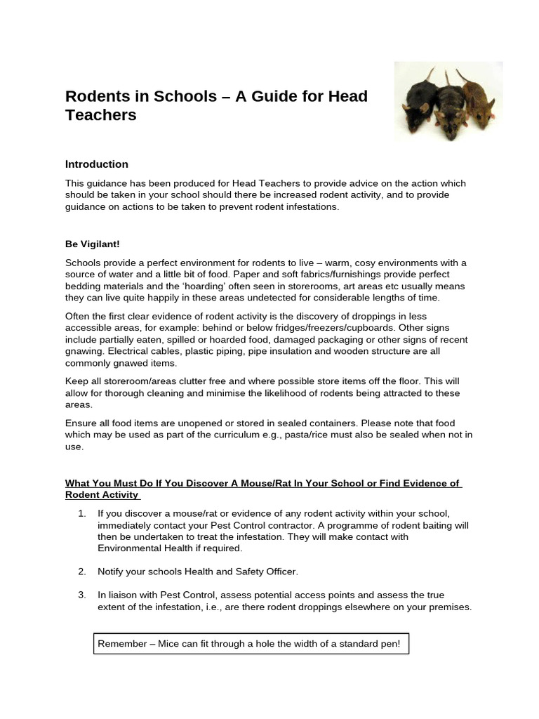 Rodent Prevention Guide for Schools | PDF | Rodent | Pest Control