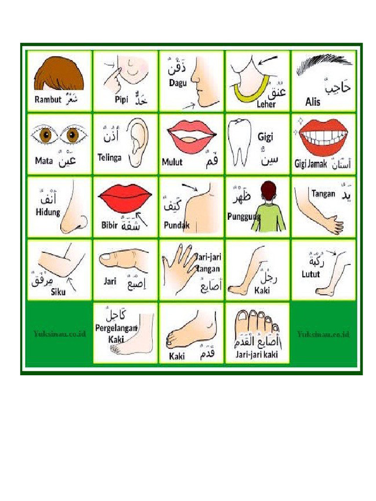 angggota tubuh bahasa arab | PDF