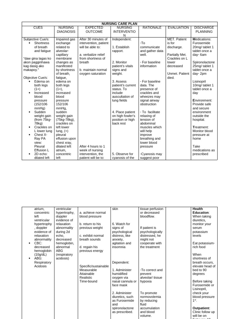 NURSING-CARE-PLAN-SAMPLE | PDF | Breathing | Clinical Medicine