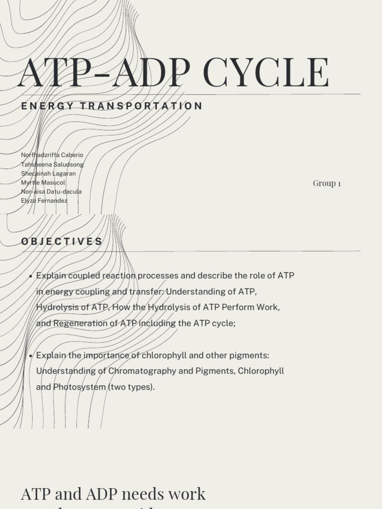 ATP Hydrolysis and Energy Transfer | PDF | Adenosine Triphosphate ...