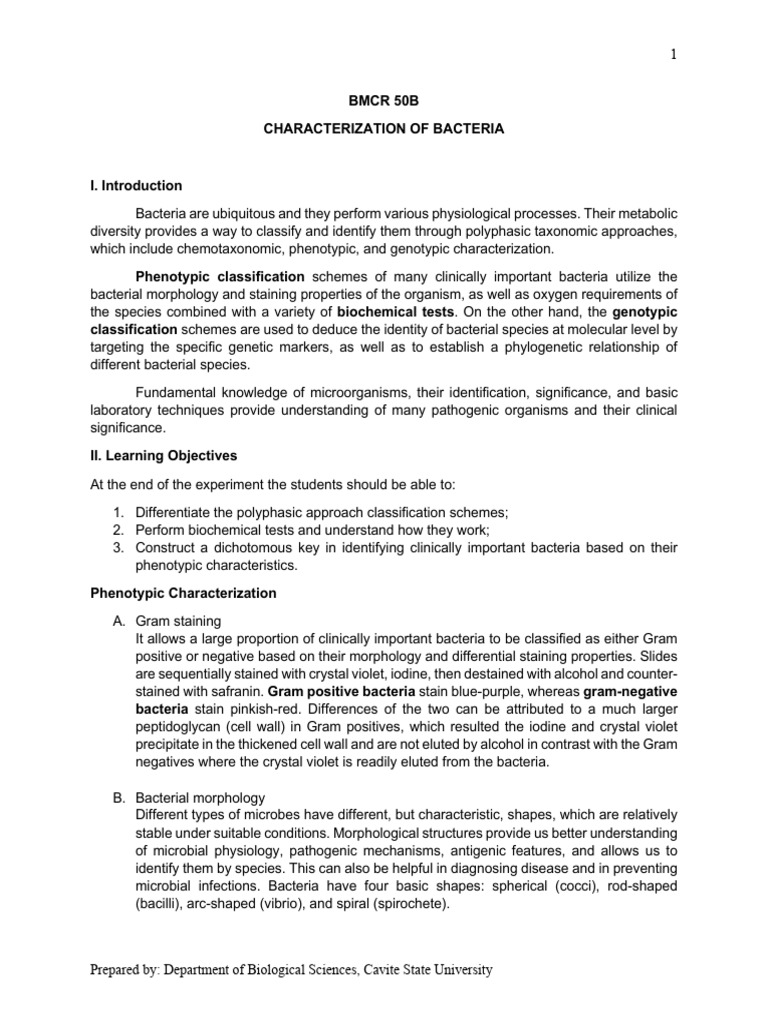 Bacterial Characterization Techniques Guide | PDF | Bacteria | Staining