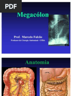 megacolon ufba.