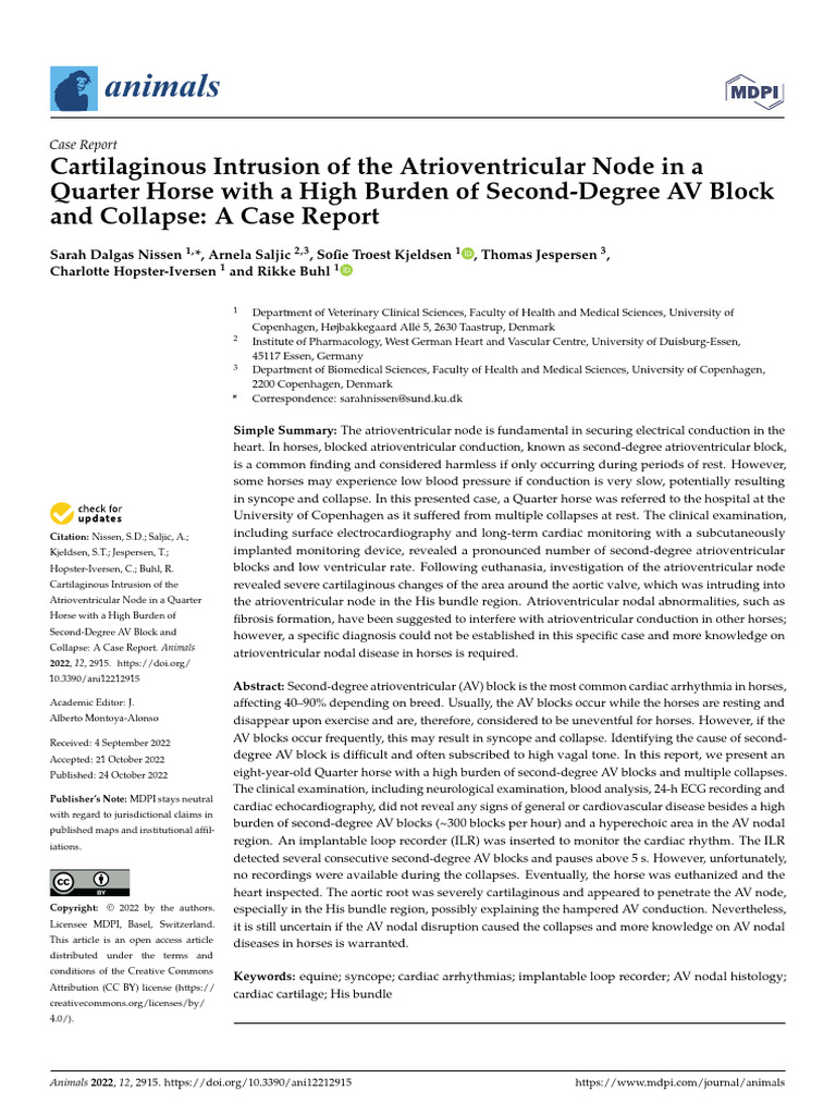 cartilaginous-intrusion-of-the-atrioventricular-node-in-a-quarter-horse