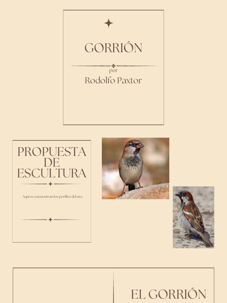 Propuesta de Escultura del Gorrión | PDF | Hogar, jardinería y