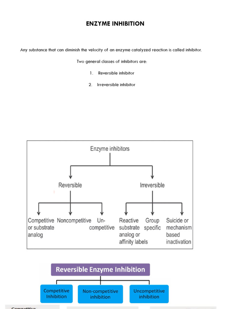 Enzyme Inhibition - 23 | PDF | Enzyme Inhibitor | Enzyme