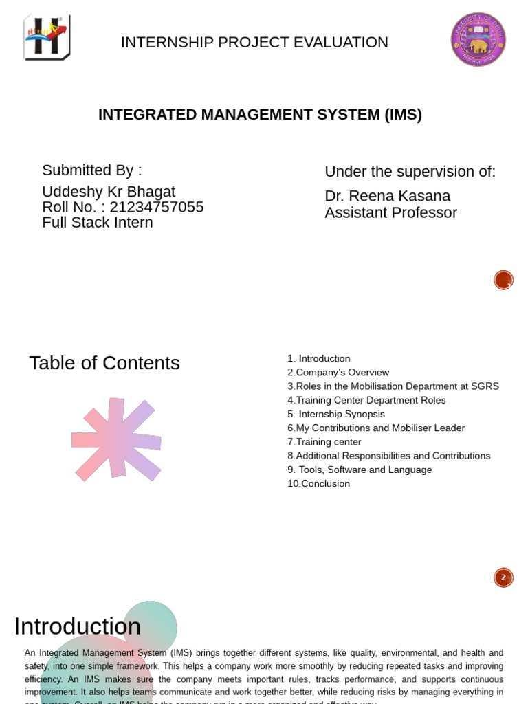 IMS Internship Project Evaluation Report | PDF | Software Testing ...