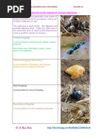 Chicken Poo Chart | PDF | Chicken | Aviculture